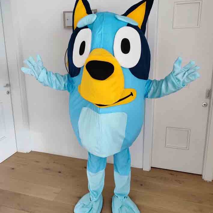 noleggio mascotte bluey